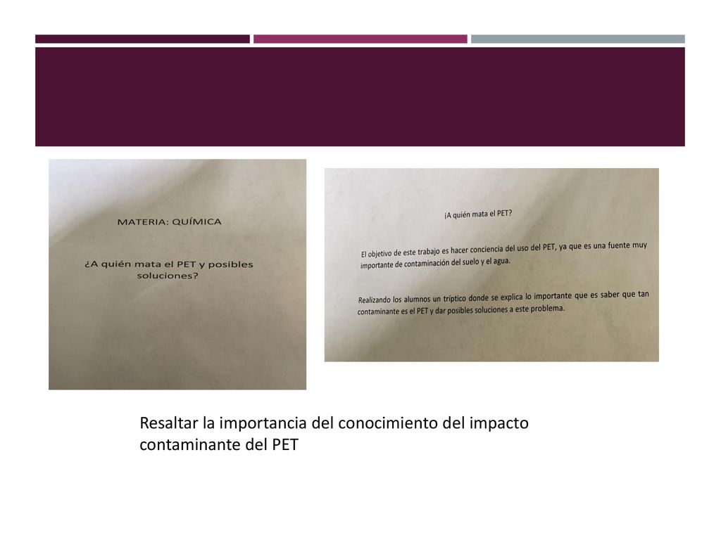 Resaltar la importancia del conocimiento del impacto contaminante del PET