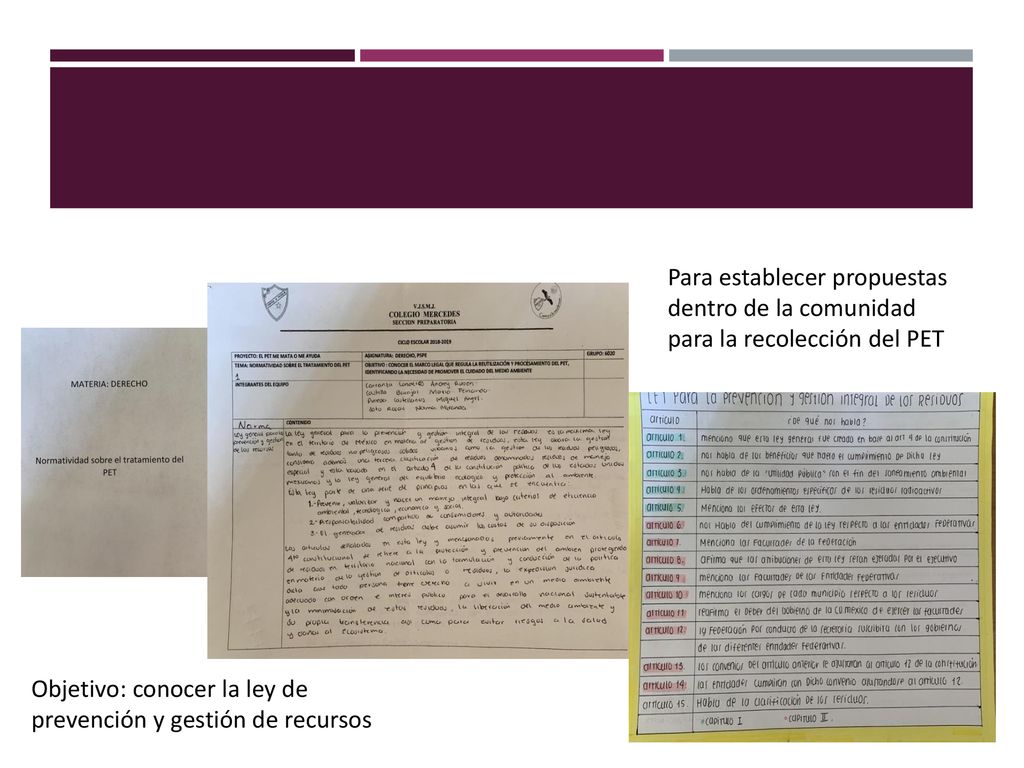 Para establecer propuestas dentro de la comunidad para la recolección del PET