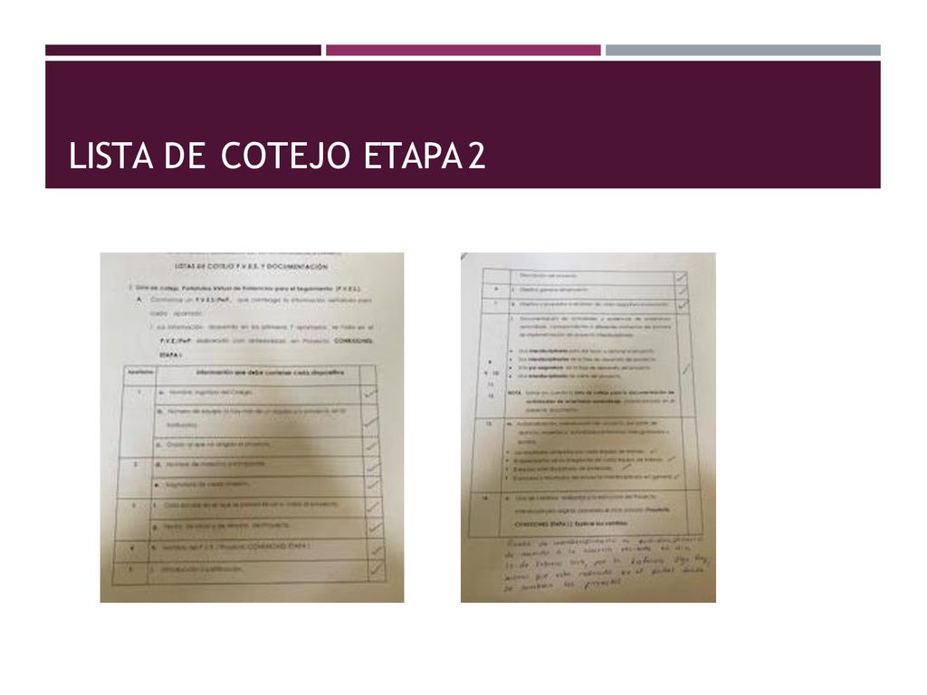 LISTA DE COTEJO ETAPA 2
