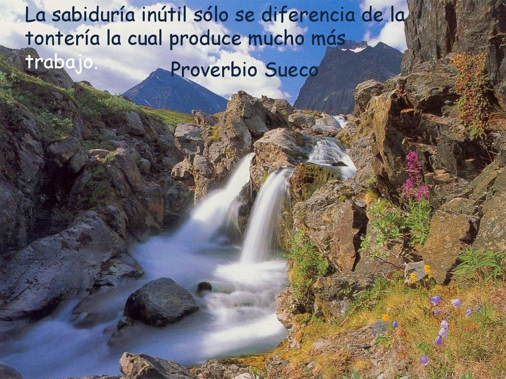 La sabiduría inútil sólo se diferencia de la tontería la cual produce mucho más trabajo.
