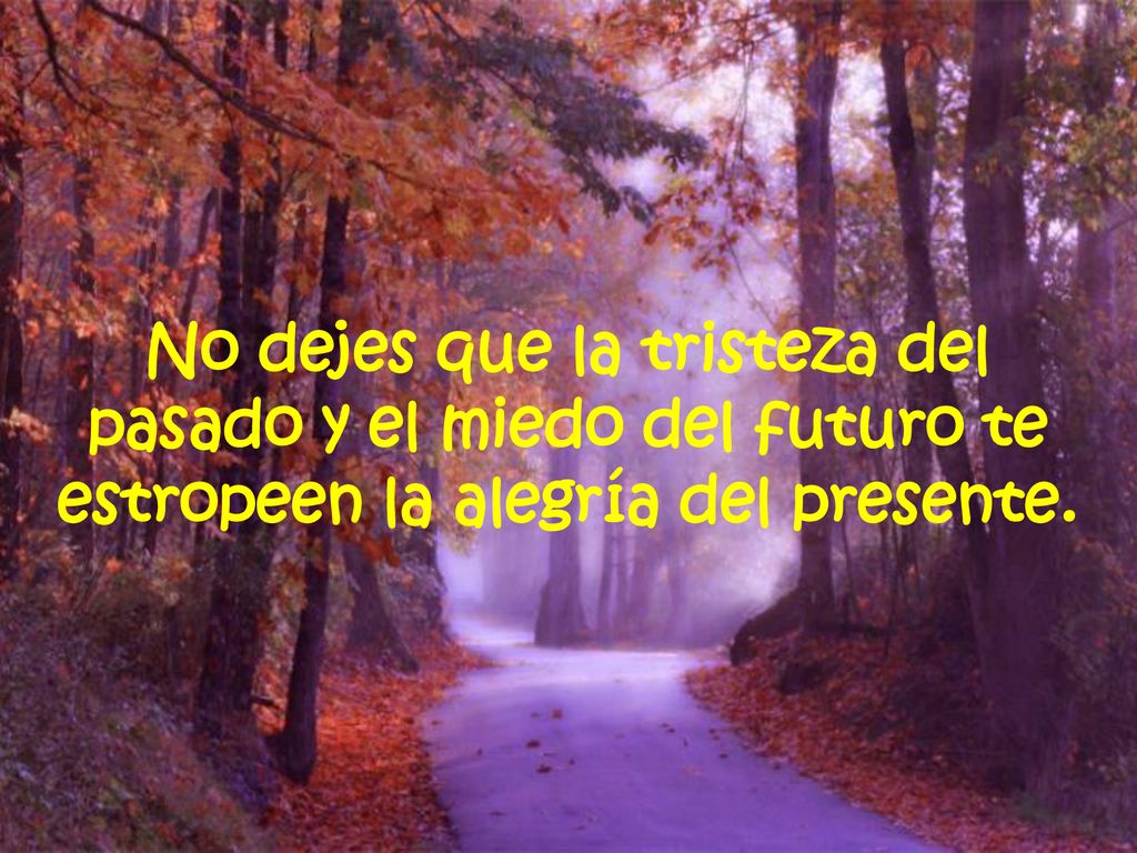 No dejes que la tristeza del pasado y el miedo del futuro te estropeen la alegría del presente.