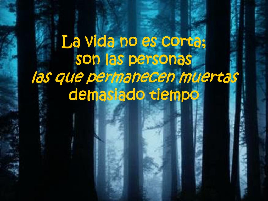 La vida no es corta; son las personas las que permanecen muertas demasiado tiempo