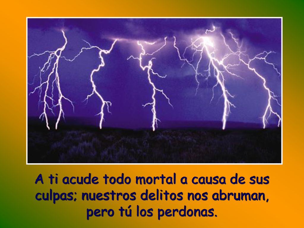A ti acude todo mortal a causa de sus culpas; nuestros delitos nos abruman,