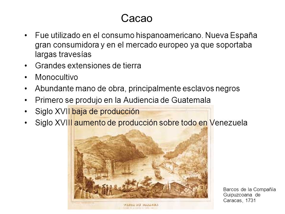 Cacao Fue utilizado en el consumo hispanoamericano. Nueva España gran consumidora y en el mercado europeo ya que soportaba largas travesías.