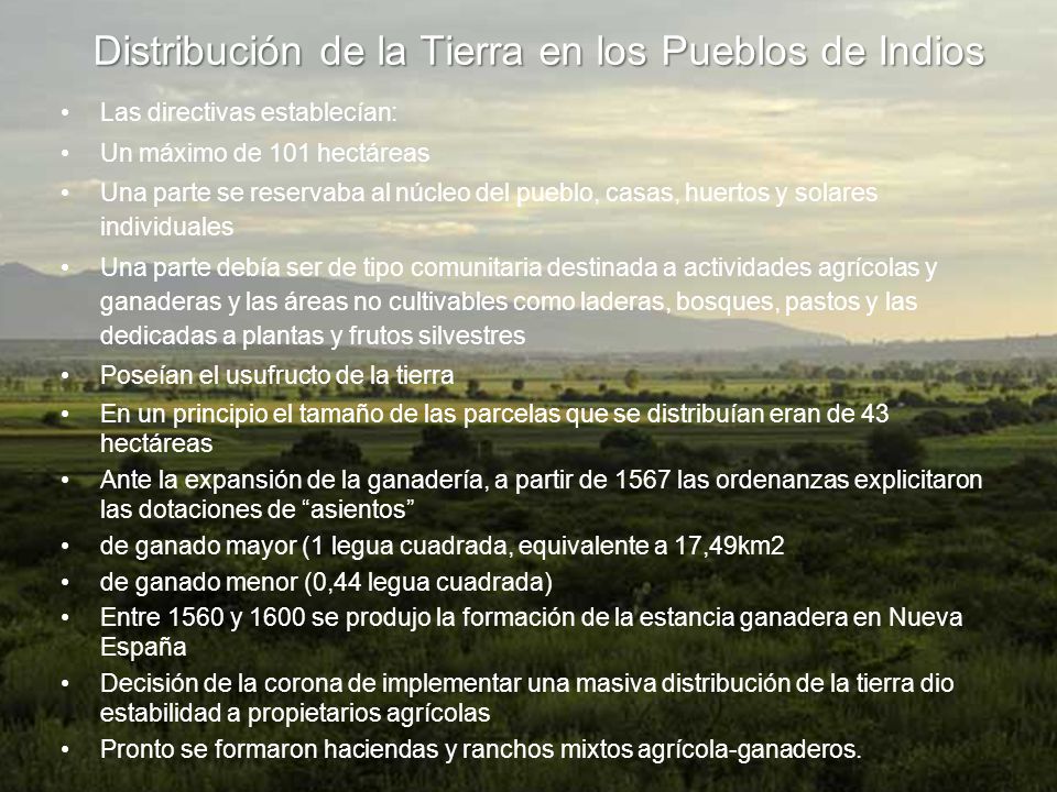 Distribución de la Tierra en los Pueblos de Indios
