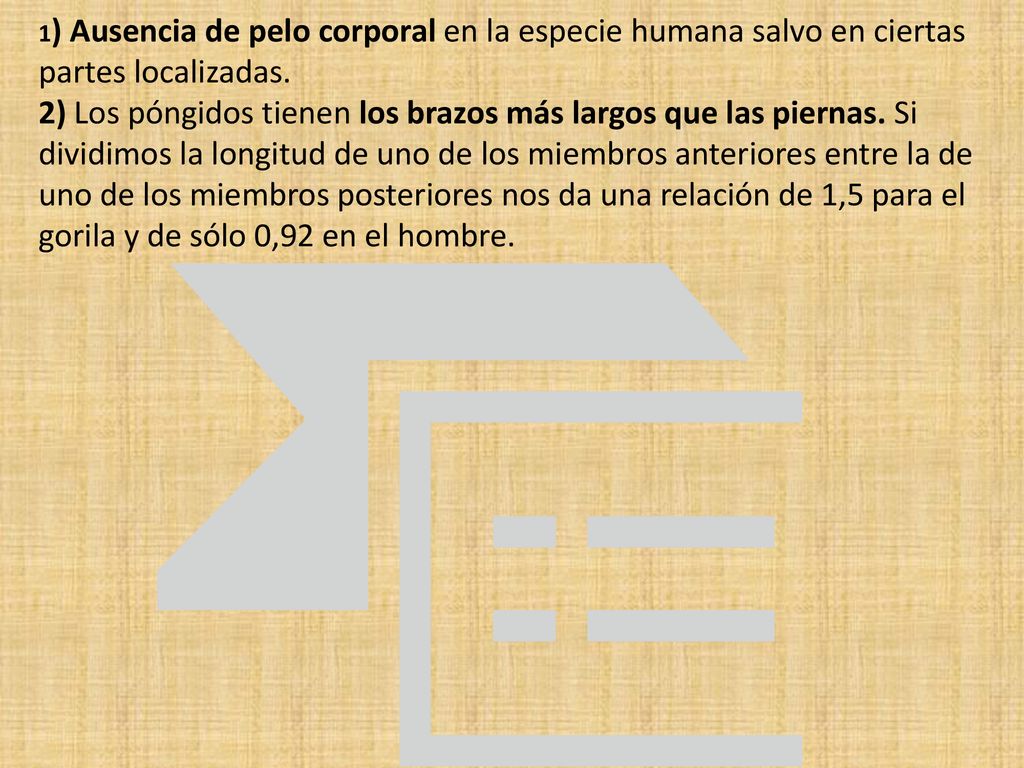 1) Ausencia de pelo corporal en la especie humana salvo en ciertas partes localizadas.