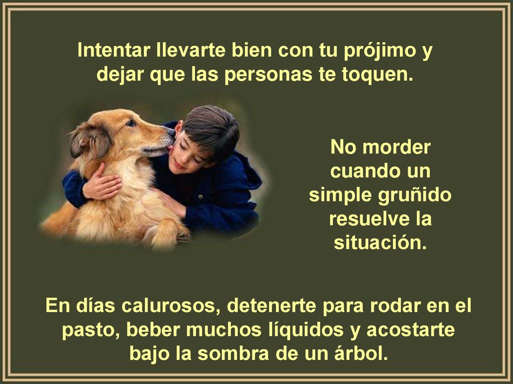 No morder cuando un simple gruñido resuelve la situación.