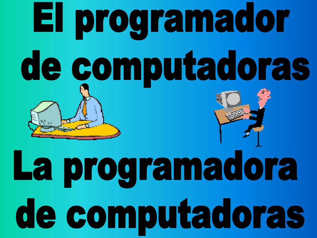 El programador de computadoras La programadora de computadoras