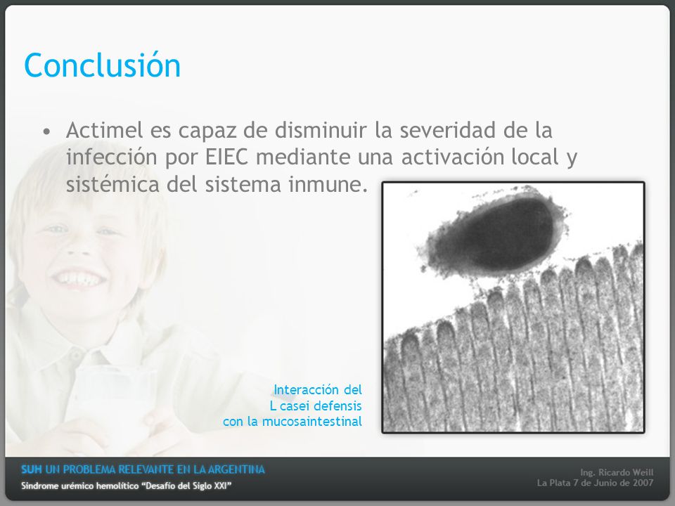 Conclusión Actimel es capaz de disminuir la severidad de la infección por EIEC mediante una activación local y sistémica del sistema inmune.