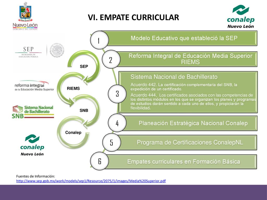 VI. EMPATE CURRICULAR Modelo Educativo que estableció la SEP. Reforma Integral de Educación Media Superior RIEMS.