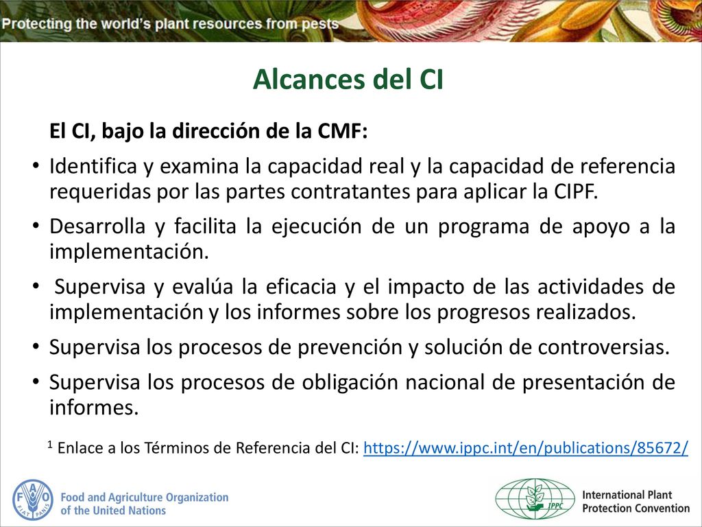 Alcances del CI El CI, bajo la dirección de la CMF:
