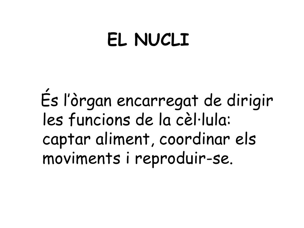 EL NUCLI És l’òrgan encarregat de dirigir les funcions de la cèl·lula: captar aliment, coordinar els moviments i reproduir-se.