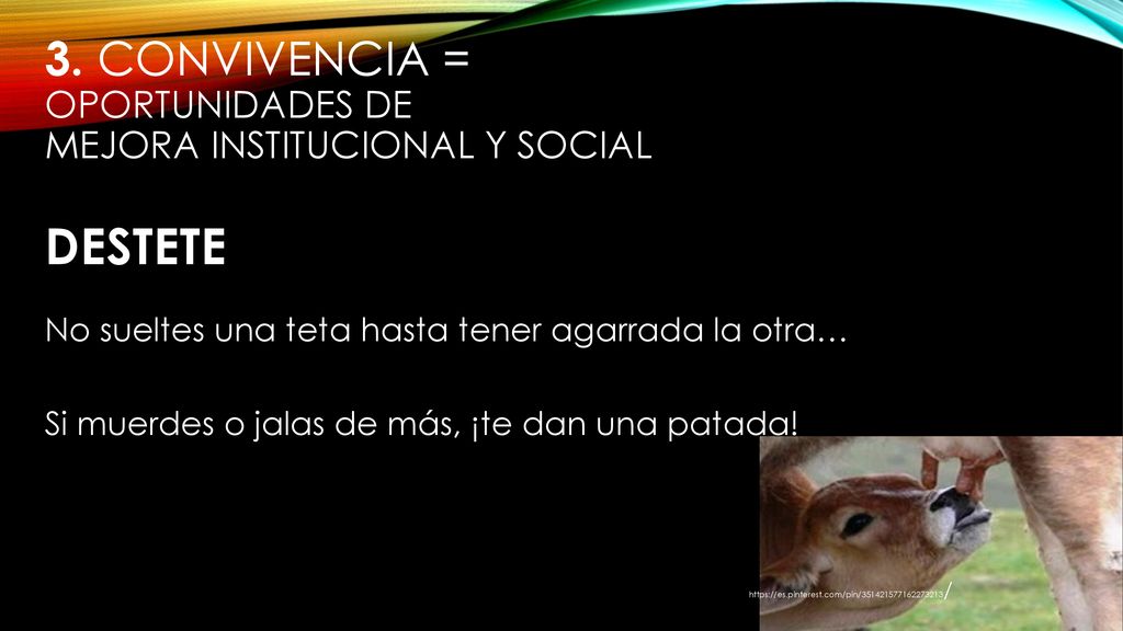 3. convivencia = oportunidades de Mejora institucional y social Destete