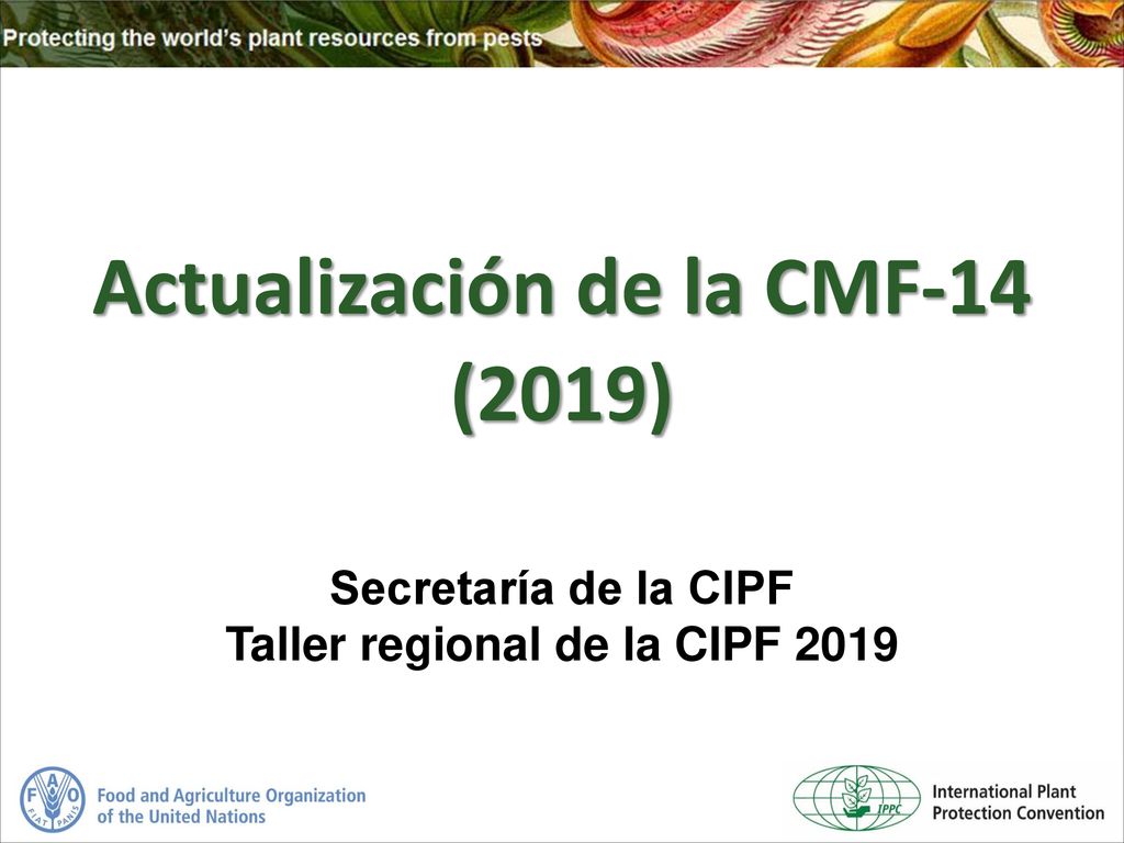 Actualización de la CMF-14 Taller regional de la CIPF 2019