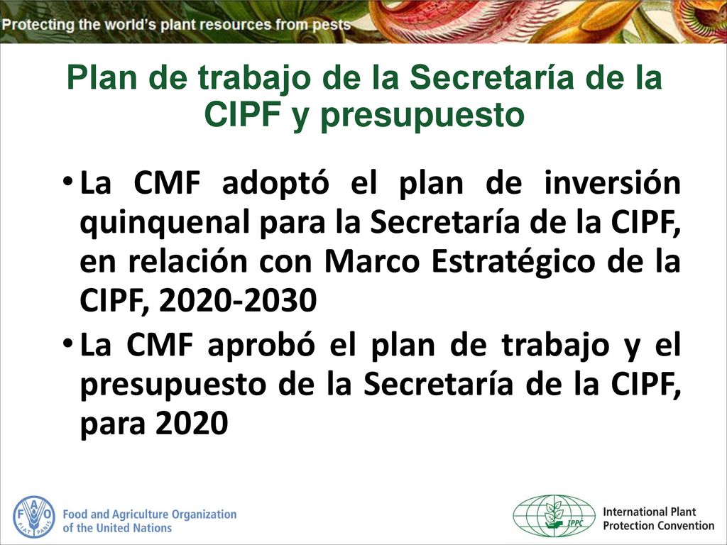 Plan de trabajo de la Secretaría de la CIPF y presupuesto