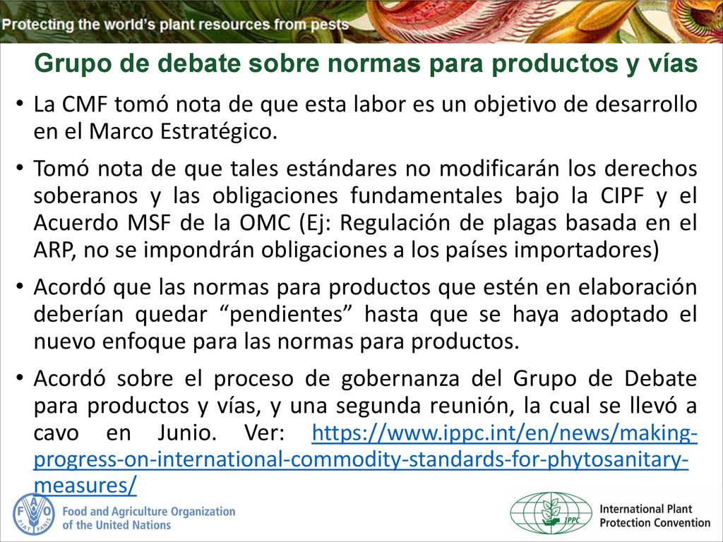 Grupo de debate sobre normas para productos y vías