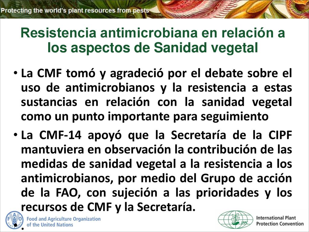 Resistencia antimicrobiana en relación a los aspectos de Sanidad vegetal