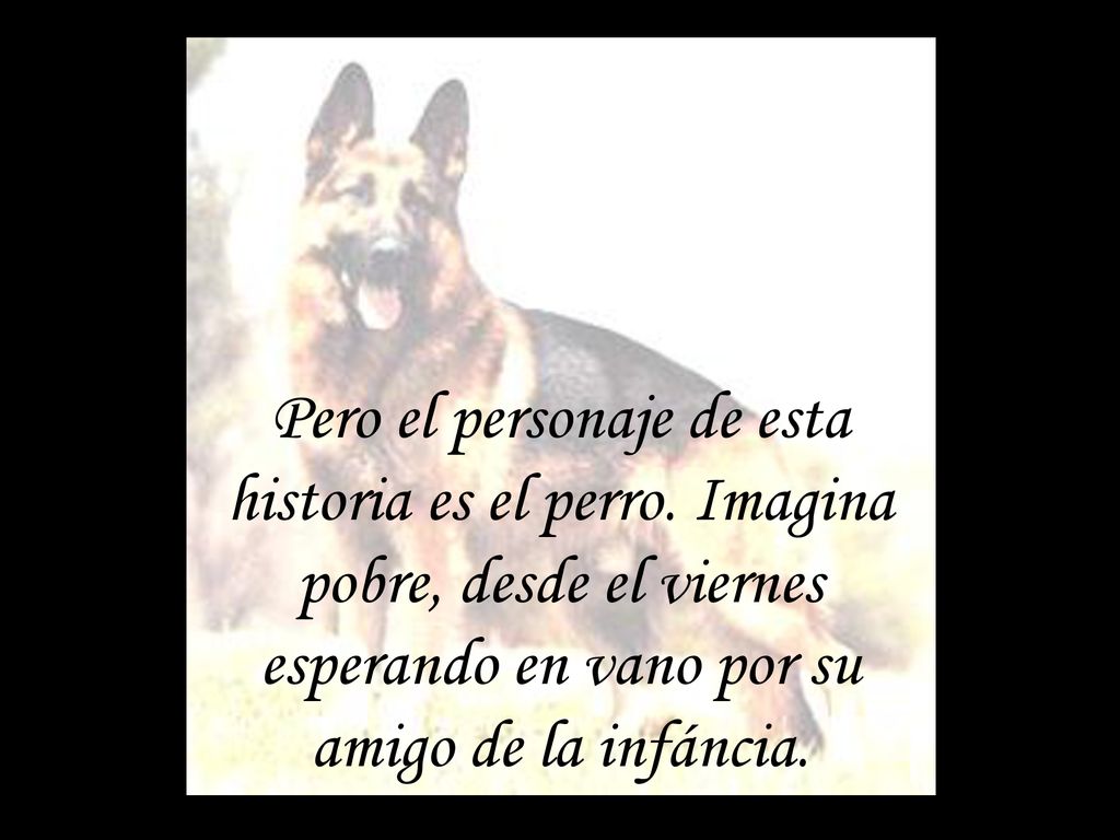 Pero el personaje de esta historia es el perro