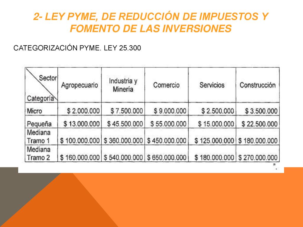 2- LEY PYME, DE REDUCCIÓN DE IMPUESTOS Y FOMENTO DE LAS INVERSIONES