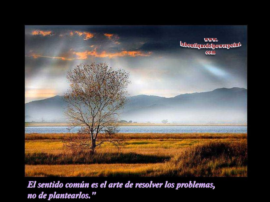 El sentido común es el arte de resolver los problemas, no de plantearlos.