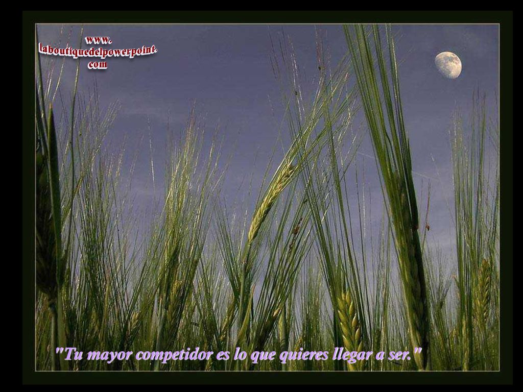 Tu mayor competidor es lo que quieres llegar a ser.