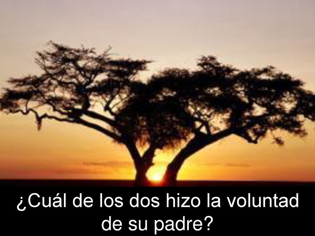¿Cuál de los dos hizo la voluntad de su padre