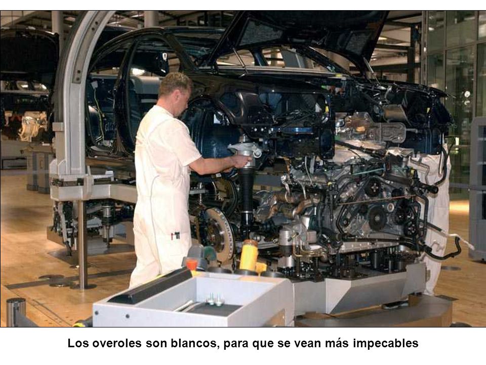 Los overoles son blancos, para que se vean más impecables