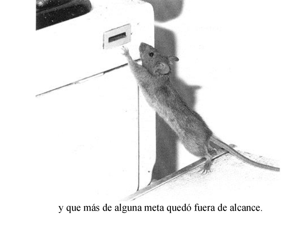 y que más de alguna meta quedó fuera de alcance.