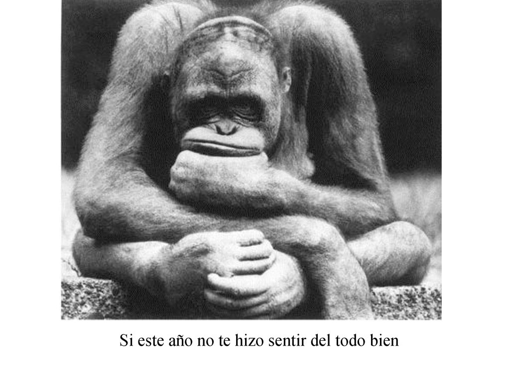 Si este año no te hizo sentir del todo bien