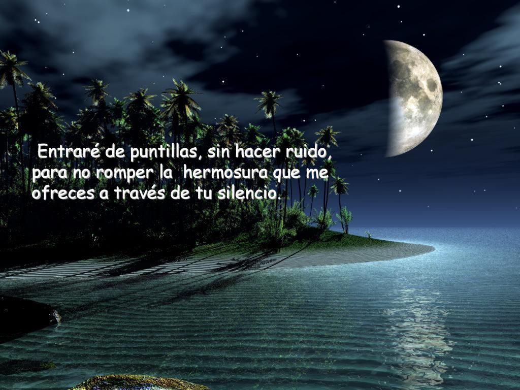 Entraré de puntillas, sin hacer ruido, para no romper la hermosura que me ofreces a través de tu silencio.