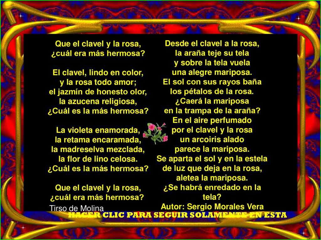 Desde el clavel a la rosa, la araña teje su tela y sobre la tela vuela