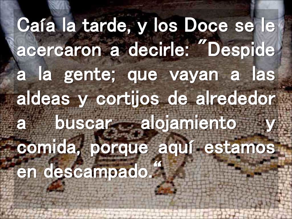 Caía la tarde, y los Doce se le acercaron a decirle: Despide a la gente; que vayan a las aldeas y cortijos de alrededor a buscar alojamiento y comida, porque aquí estamos en descampado.