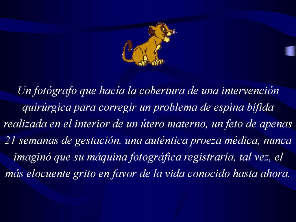 Un fotógrafo que hacía la cobertura de una intervención quirúrgica para corregir un problema de espina bífida realizada en el interior de un útero materno, un feto de apenas 21 semanas de gestación, una auténtica proeza médica, nunca imaginó que su máquina fotográfica registraría, tal vez, el más elocuente grito en favor de la vida conocido hasta ahora.