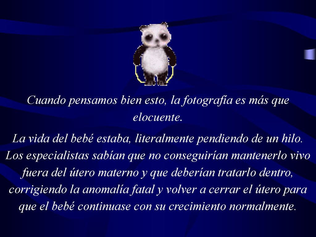 Cuando pensamos bien esto, la fotografía es más que elocuente.