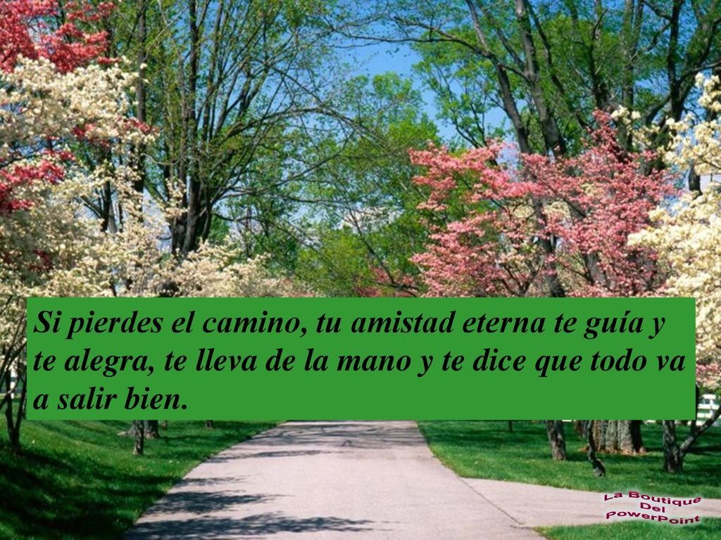 Si pierdes el camino, tu amistad eterna te guía y te alegra, te lleva de la mano y te dice que todo va a salir bien.