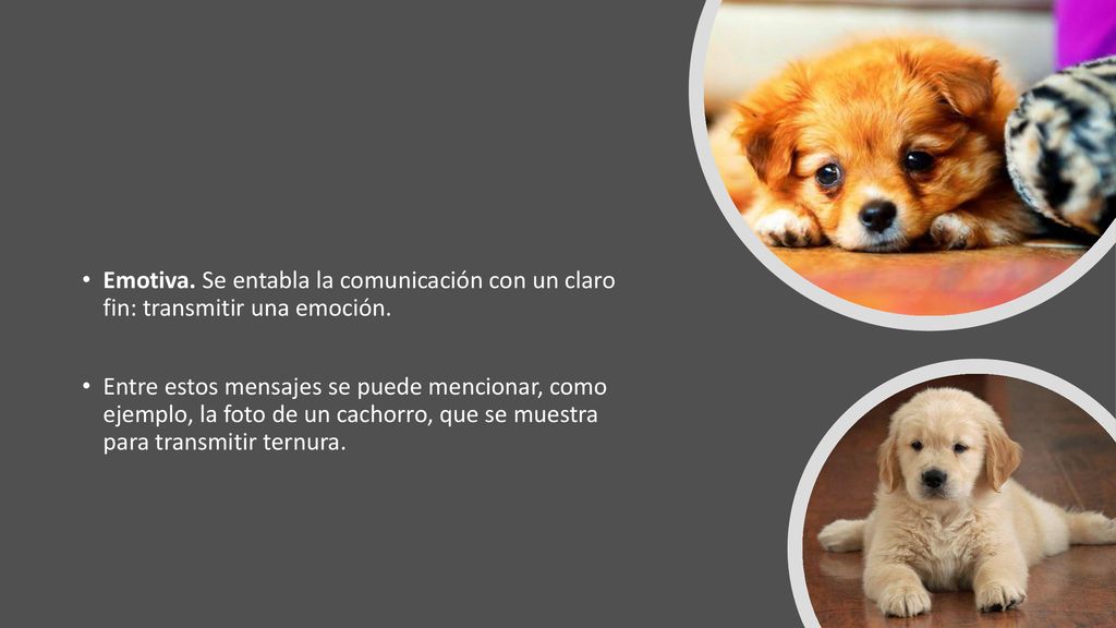 Emotiva. Se entabla la comunicación con un claro fin: transmitir una emoción.
