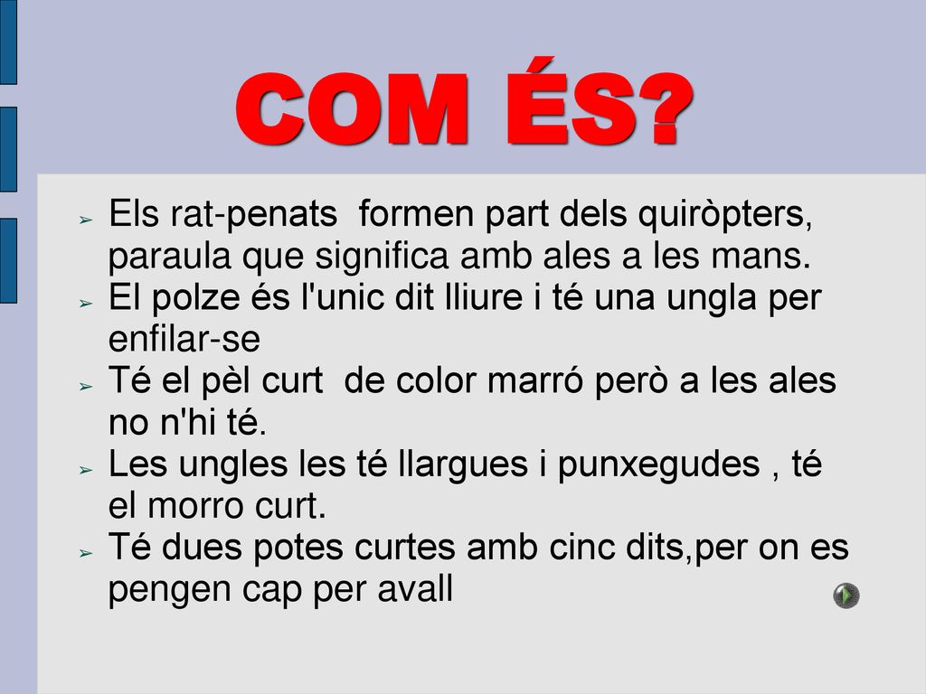 COM ÉS Els rat-penats formen part dels quiròpters, paraula que significa amb ales a les mans.