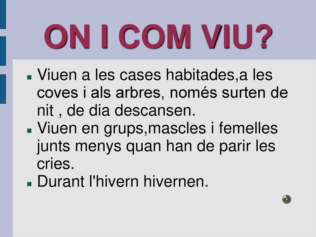 ON I COM VIU Viuen a les cases habitades,a les coves i als arbres, només surten de nit , de dia descansen.