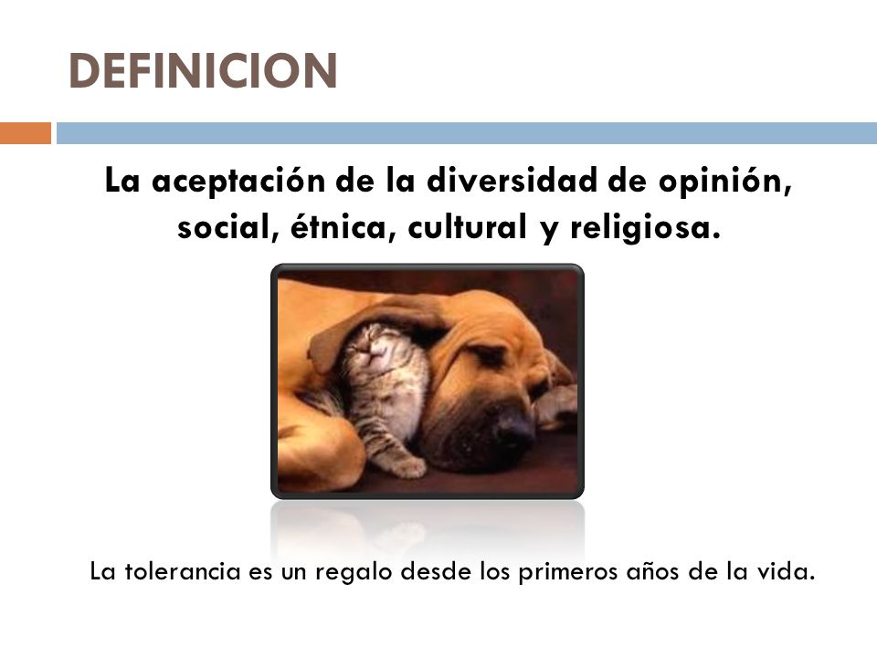 La tolerancia es un regalo desde los primeros años de la vida.