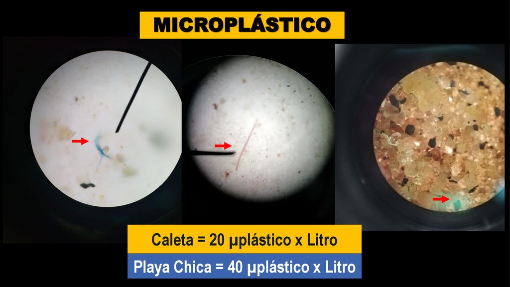 Caleta = 20 µplástico x Litro Playa Chica = 40 µplástico x Litro