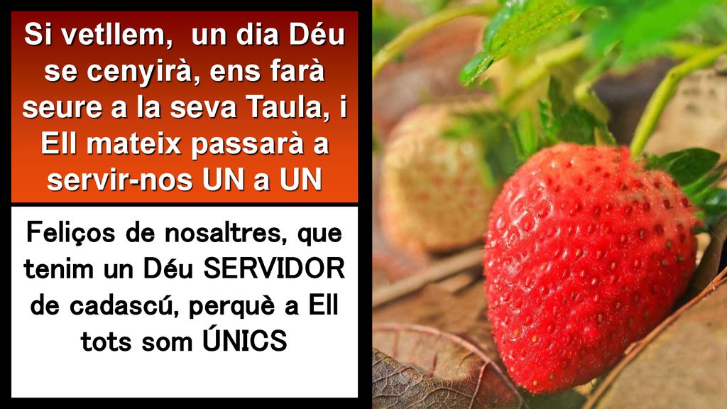 Si vetllem, un dia Déu se cenyirà, ens farà seure a la seva Taula, i Ell mateix passarà a servir-nos UN a UN