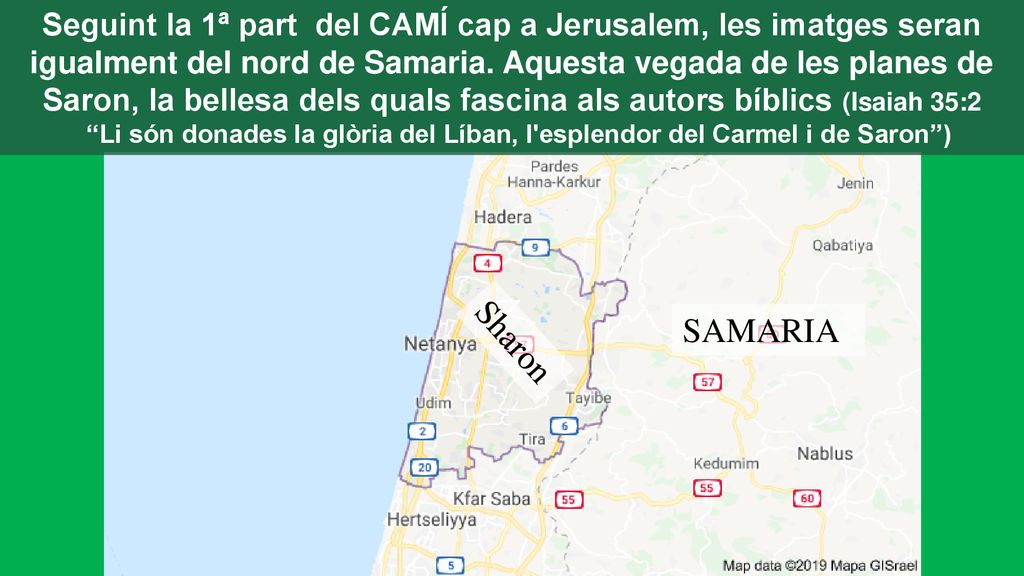 Seguint la 1ª part del CAMÍ cap a Jerusalem, les imatges seran igualment del nord de Samaria. Aquesta vegada de les planes de Saron, la bellesa dels quals fascina als autors bíblics (Isaiah 35:2 Li són donades la glòria del Líban, l esplendor del Carmel i de Saron )