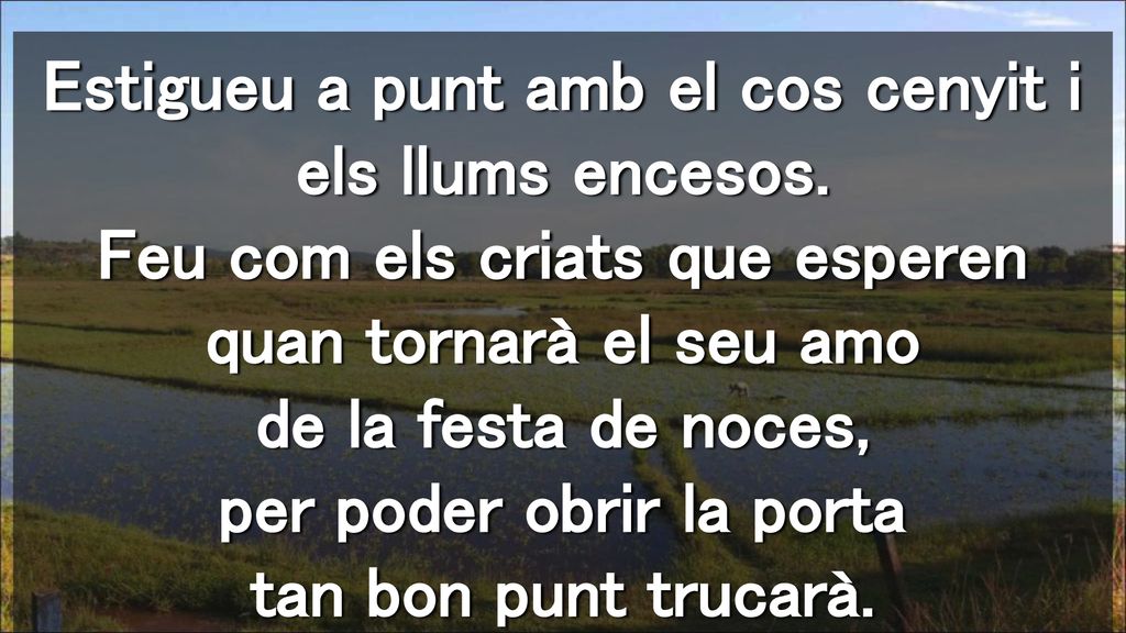Estigueu a punt amb el cos cenyit i els llums encesos