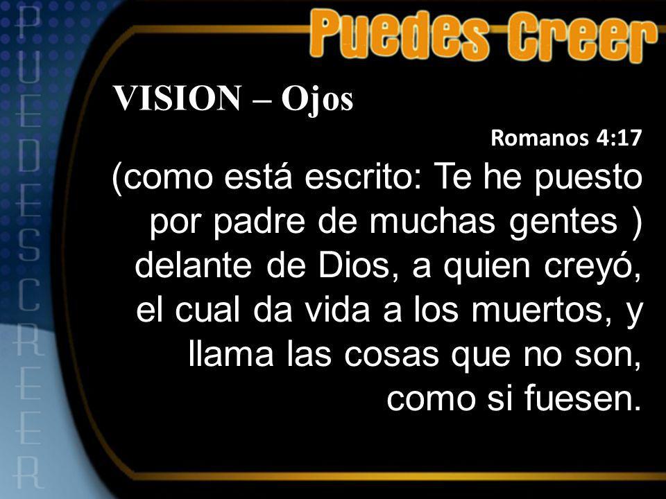 VISION – Ojos