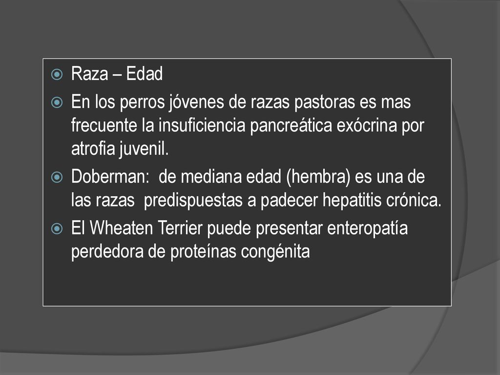 Raza – Edad En los perros jóvenes de razas pastoras es mas frecuente la insuficiencia pancreática exócrina por atrofia juvenil.