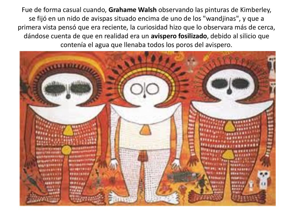 Fue de forma casual cuando, Grahame Walsh observando las pinturas de Kimberley, se fijó en un nido de avispas situado encima de uno de los wandjinas , y que a primera vista pensó que era reciente, la curiosidad hizo que lo observara más de cerca, dándose cuenta de que en realidad era un avispero fosilizado, debido al silicio que contenía el agua que llenaba todos los poros del avispero.