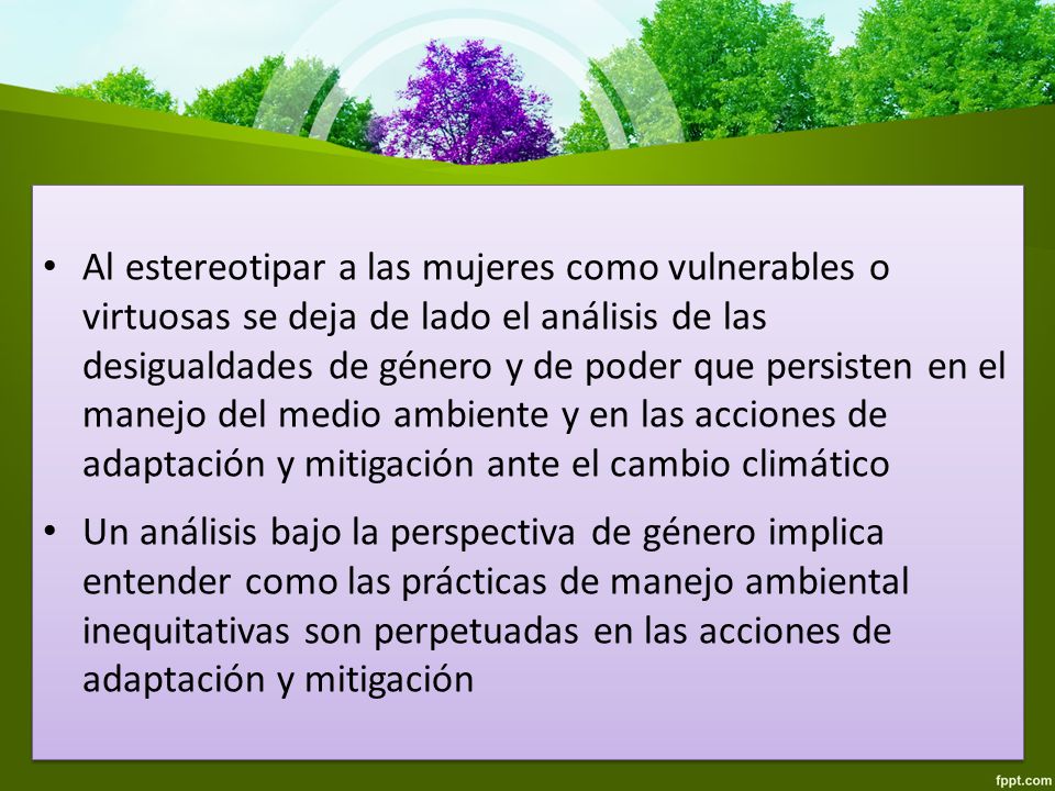 Al estereotipar a las mujeres como vulnerables o virtuosas se deja de lado el análisis de las desigualdades de género y de poder que persisten en el manejo del medio ambiente y en las acciones de adaptación y mitigación ante el cambio climático