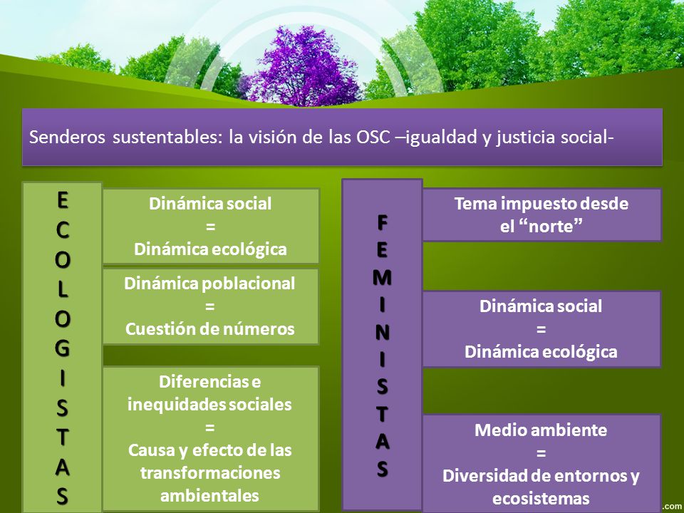 Senderos sustentables: la visión de las OSC –igualdad y justicia social-