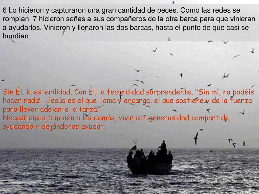 6 Lo hicieron y capturaron una gran cantidad de peces