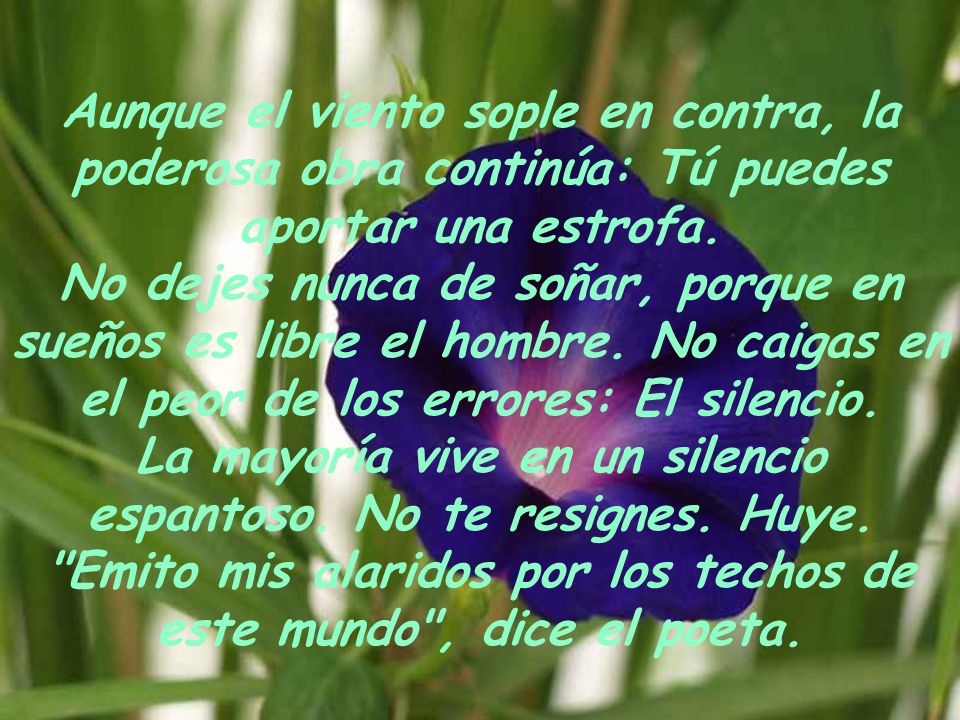 Aunque el viento sople en contra, la poderosa obra continúa: Tú puedes aportar una estrofa. No dejes nunca de soñar, porque en sueños es libre el hombre. No caigas en el peor de los errores: El silencio.